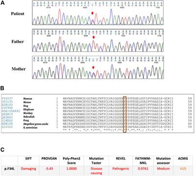 Case Report: Heterozygous Germline Variant in EIF6 Additional to Biallelic SBDS Pathogenic Variants in a Patient With Ribosomopathy Shwachman–Diamond Syndrome